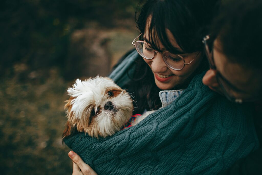 “Dog being carried in sling – best cheap pet insurance UK 2025”