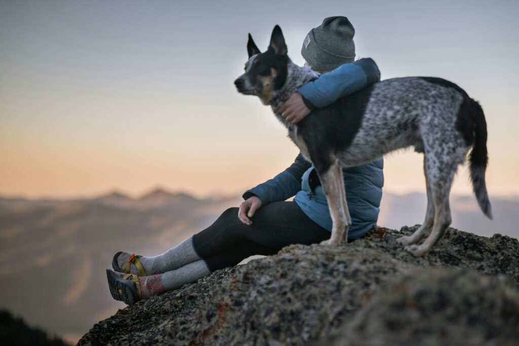 “Dog with owner on a mountain – best cheap pet insurance UK 2025”