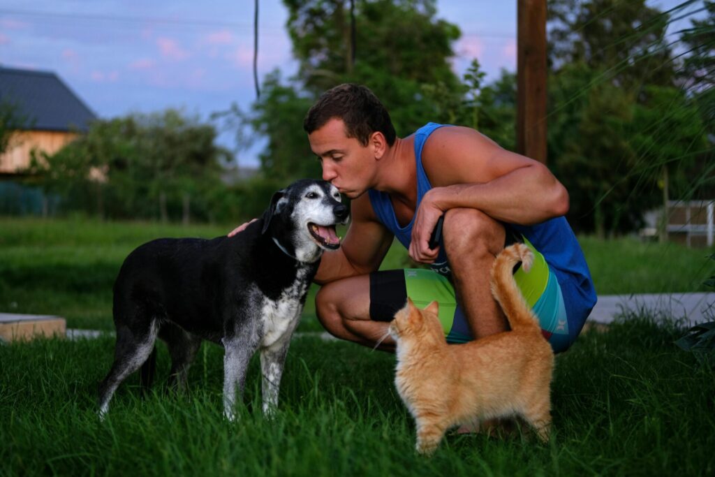 "Nectar Points from Sainsburys Pet Insurance in 2025"