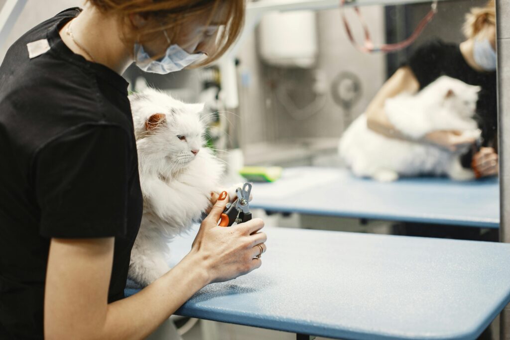 "Routine & Wellness Pet Insurance UK 2025"