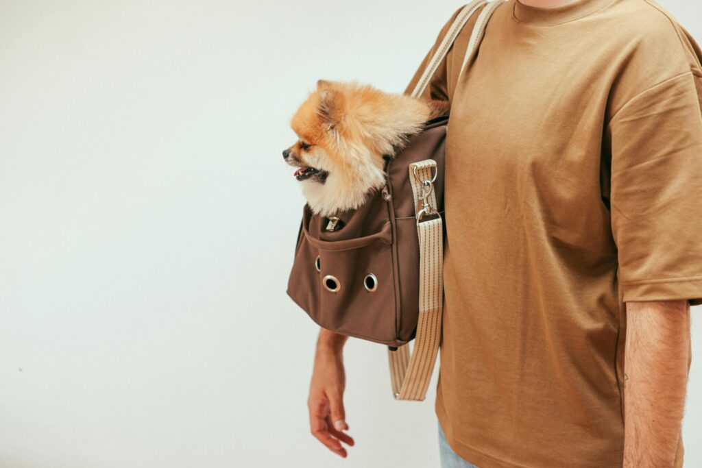 "Pet Insurance Add-Ons UK 2025"