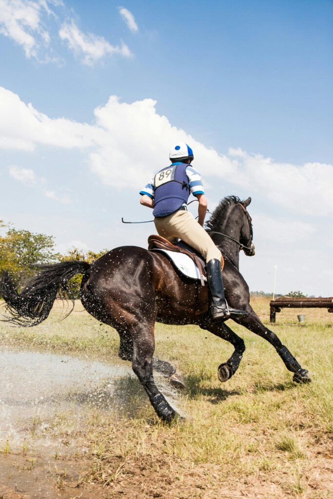 "Pet Insurance for Horses UK 2025"