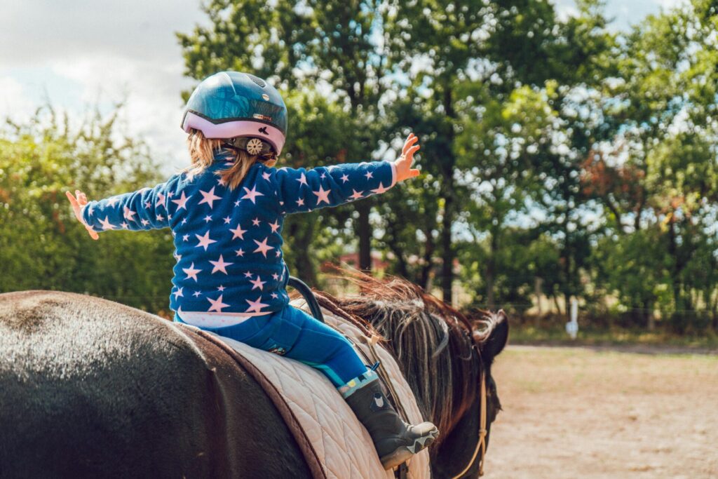 "Pet Insurance for Horses UK 2025"