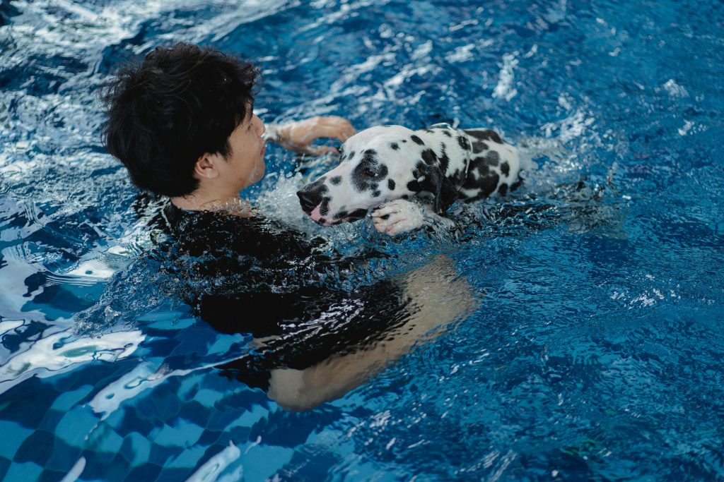 "Does Pet Insurance Cover Physiotherapy and Hydrotherapy UK 2025"
